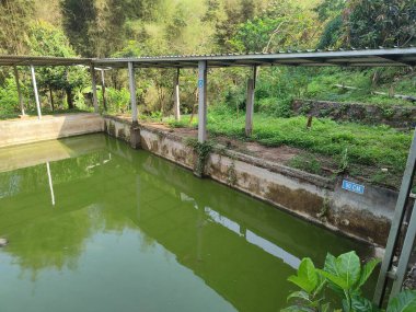 Kentsel alanlarda balık havuzları basit ve kolay avlanır.