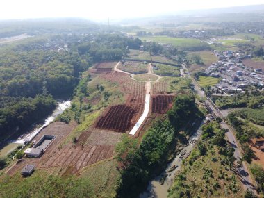 Livistona chinensis, Çin fanı palmiyesi veya fıskiye palmiyesi, Doğu Asya 'da yetişen bir astropikal palmiye türüdür. Güney Japonya, Tayvan, Ryukyu Adaları, güneydoğu Çin ve Hainan 'da yaşar..