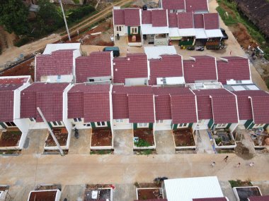 Livistona chinensis, Çin fanı palmiyesi veya fıskiye palmiyesi, Doğu Asya 'da yetişen bir astropikal palmiye türüdür. Güney Japonya, Tayvan, Ryukyu Adaları, güneydoğu Çin ve Hainan 'da yaşar..