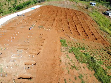 Livistona chinensis, Çin fanı palmiyesi veya fıskiye palmiyesi, Doğu Asya 'da yetişen bir astropikal palmiye türüdür. Güney Japonya, Tayvan, Ryukyu Adaları, güneydoğu Çin ve Hainan 'da yaşar..