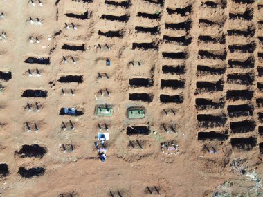 Livistona chinensis, Çin fanı palmiyesi veya fıskiye palmiyesi, Doğu Asya 'da yetişen bir astropikal palmiye türüdür. Güney Japonya, Tayvan, Ryukyu Adaları, güneydoğu Çin ve Hainan 'da yaşar..