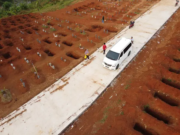 Livistona chinensis, Çin fanı palmiyesi veya fıskiye palmiyesi, Doğu Asya 'da yetişen bir astropikal palmiye türüdür. Güney Japonya, Tayvan, Ryukyu Adaları, güneydoğu Çin ve Hainan 'da yaşar..