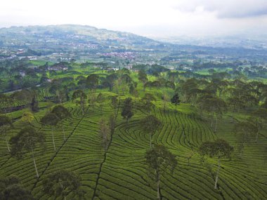 PANORAMA PANORAMA 'NIN GÖREVİ SINDORO, WONOSOBO, İNDONEZİ, FERTİL VE FERTİLYA' NIN yüksek alanlarında