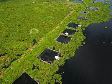 Rawa Pening Gölü, Ambarawa 'nın engin hava manzaralarının güzel panoramik manzarası.,