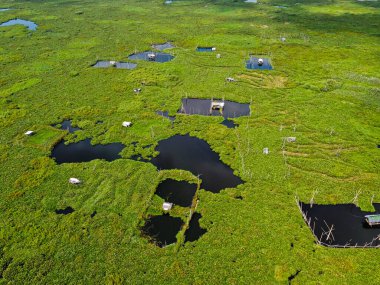 the beautiful aerial panoramic view of the expanse of air landscapes of Rawa Pening Lake, ambarawa, clipart