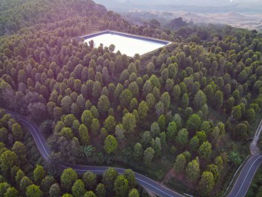 Patean Boja, Kendal Regency, Endonezya 'daki karanfil çiftliği alanının güzelliği