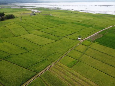 RAWA PENING GÖNDÜNDÜNDÜNDÜNÜNÜNÜNÜZDE GÖRÜNDÜNÜĞÜ AMBARAWA GÖRÜNDÜĞÜ GÖRÜNÜNDÜĞÜ