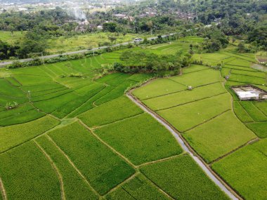 RAWA PENING GÖNDÜNDÜNDÜNDÜNÜNÜNÜNÜZDE GÖRÜNDÜNÜĞÜ AMBARAWA GÖRÜNDÜĞÜ GÖRÜNÜNDÜĞÜ