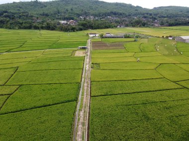 RAWA PENING GÖNDÜNDÜNDÜNDÜNÜNÜNÜNÜZDE GÖRÜNDÜNÜĞÜ AMBARAWA GÖRÜNDÜĞÜ GÖRÜNÜNDÜĞÜ