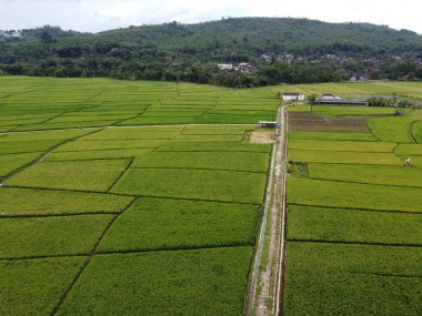 RAWA PENING GÖNDÜNDÜNDÜNDÜNÜNÜNÜNÜZDE GÖRÜNDÜNÜĞÜ AMBARAWA GÖRÜNDÜĞÜ GÖRÜNÜNDÜĞÜ