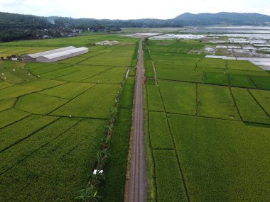RAWA PENING GÖNDÜNDÜNDÜNDÜNÜNÜNÜNÜZDE GÖRÜNDÜNÜĞÜ AMBARAWA GÖRÜNDÜĞÜ GÖRÜNÜNDÜĞÜ