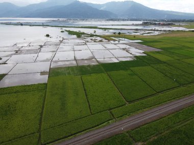 RAWA PENING GÖNDÜNDÜNDÜNDÜNÜNÜNÜNÜZDE GÖRÜNDÜNÜĞÜ AMBARAWA GÖRÜNDÜĞÜ GÖRÜNÜNDÜĞÜ