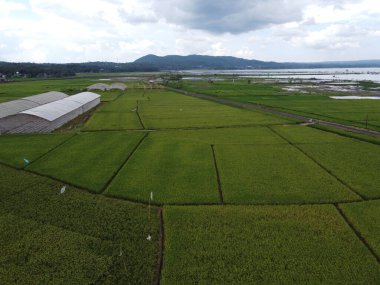 RAWA PENING GÖNDÜNDÜNDÜNDÜNÜNÜNÜNÜZDE GÖRÜNDÜNÜĞÜ AMBARAWA GÖRÜNDÜĞÜ GÖRÜNÜNDÜĞÜ