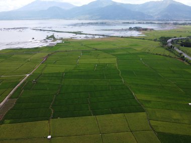 RAWA PENING GÖNDÜNDÜNDÜNDÜNÜNÜNÜNÜZDE GÖRÜNDÜNÜĞÜ AMBARAWA GÖRÜNDÜĞÜ GÖRÜNÜNDÜĞÜ