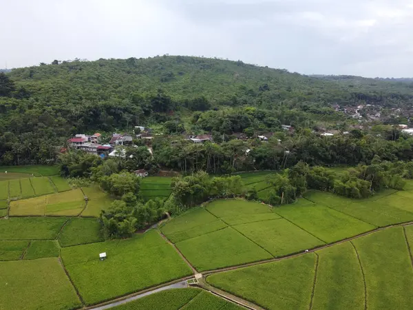 RAWA PENING GÖNDÜNDÜNDÜNDÜNÜNÜNÜNÜZDE GÖRÜNDÜNÜĞÜ AMBARAWA GÖRÜNDÜĞÜ GÖRÜNÜNDÜĞÜ