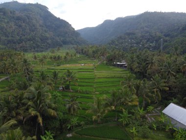 Mound AMBARAWA, İNDONEZYA 'DA ÜZERİNE PANORAMİK AÇIKLARININ GÖREVİ