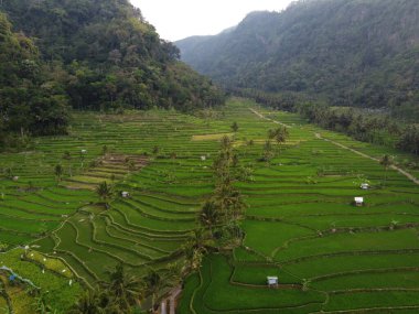 Mound AMBARAWA, İNDONEZYA 'DA ÜZERİNE PANORAMİK AÇIKLARININ GÖREVİ