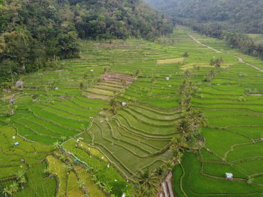 Mound AMBARAWA, İNDONEZYA 'DA ÜZERİNE PANORAMİK AÇIKLARININ GÖREVİ