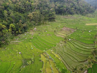 Mound AMBARAWA, İNDONEZYA 'DA ÜZERİNE PANORAMİK AÇIKLARININ GÖREVİ