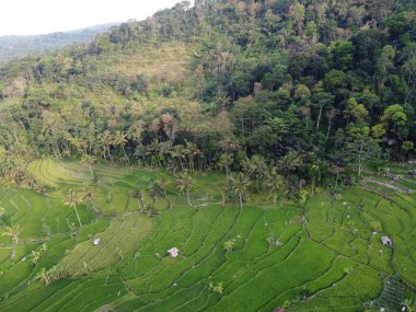 Mound AMBARAWA, İNDONEZYA 'DA ÜZERİNE PANORAMİK AÇIKLARININ GÖREVİ