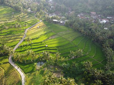 Mound AMBARAWA, İNDONEZYA 'DA ÜZERİNE PANORAMİK AÇIKLARININ GÖREVİ
