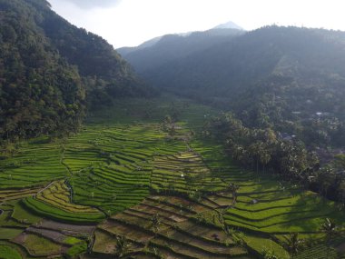 Mound AMBARAWA, İNDONEZYA 'DA ÜZERİNE PANORAMİK AÇIKLARININ GÖREVİ