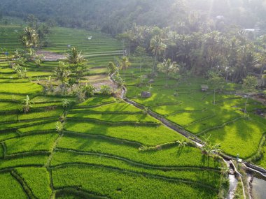 Mound AMBARAWA, İNDONEZYA 'DA ÜZERİNE PANORAMİK AÇIKLARININ GÖREVİ