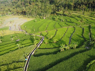 Mound AMBARAWA, İNDONEZYA 'DA ÜZERİNE PANORAMİK AÇIKLARININ GÖREVİ