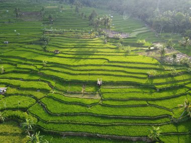 Mound AMBARAWA, İNDONEZYA 'DA ÜZERİNE PANORAMİK AÇIKLARININ GÖREVİ