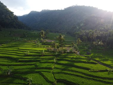 Mound AMBARAWA, İNDONEZYA 'DA ÜZERİNE PANORAMİK AÇIKLARININ GÖREVİ