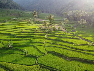Mound AMBARAWA, İNDONEZYA 'DA ÜZERİNE PANORAMİK AÇIKLARININ GÖREVİ