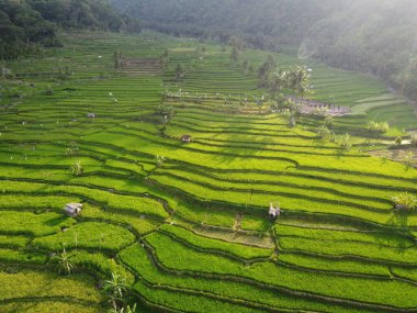 Mound AMBARAWA, İNDONEZYA 'DA ÜZERİNE PANORAMİK AÇIKLARININ GÖREVİ