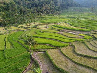 Mound AMBARAWA, İNDONEZYA 'DA ÜZERİNE PANORAMİK AÇIKLARININ GÖREVİ