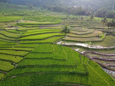 Mound AMBARAWA, İNDONEZYA 'DA ÜZERİNE PANORAMİK AÇIKLARININ GÖREVİ
