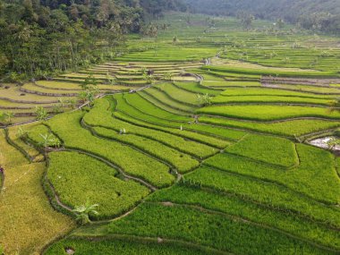 Mound AMBARAWA, İNDONEZYA 'DA ÜZERİNE PANORAMİK AÇIKLARININ GÖREVİ