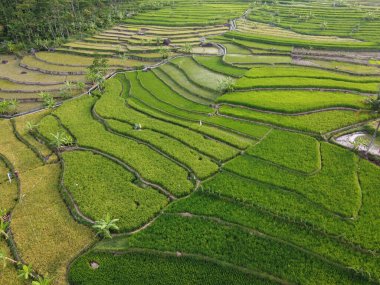 Mound AMBARAWA, İNDONEZYA 'DA ÜZERİNE PANORAMİK AÇIKLARININ GÖREVİ
