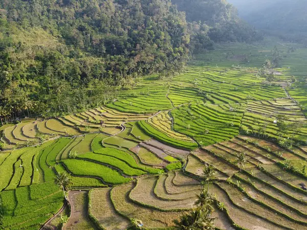 Mound AMBARAWA, İNDONEZYA 'DA ÜZERİNE PANORAMİK AÇIKLARININ GÖREVİ