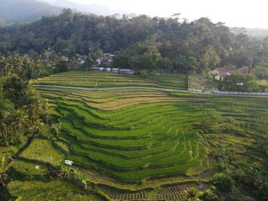  UNGARAN, İNDONEZYA 'DA YAZIZ VE LÜTÜN GÖREVLERİNİN GÖZEL GÖZLÜĞÜ