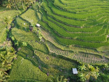  UNGARAN, İNDONEZYA 'DA YAZIZ VE LÜTÜN GÖREVLERİNİN GÖZEL GÖZLÜĞÜ