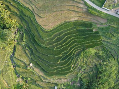  UNGARAN, İNDONEZYA 'DA YAZIZ VE LÜTÜN GÖREVLERİNİN GÖZEL GÖZLÜĞÜ