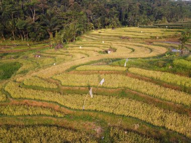  UNGARAN, İNDONEZYA 'DA YAZIZ VE LÜTÜN GÖREVLERİNİN GÖZEL GÖZLÜĞÜ