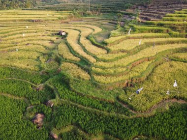  UNGARAN, İNDONEZYA 'DA YAZIZ VE LÜTÜN GÖREVLERİNİN GÖZEL GÖZLÜĞÜ