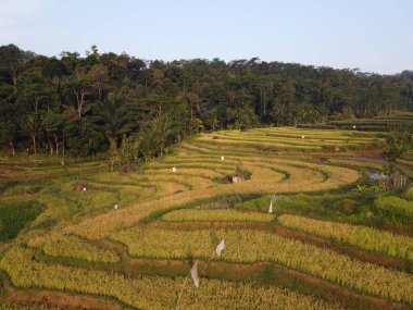  UNGARAN, İNDONEZYA 'DA YAZIZ VE LÜTÜN GÖREVLERİNİN GÖZEL GÖZLÜĞÜ