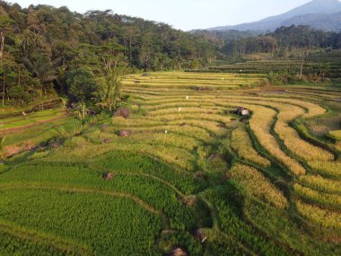 UNGARAN, İNDONEZYA 'DA YAZIZ VE LÜTÜN GÖREVLERİNİN GÖZEL GÖZLÜĞÜ