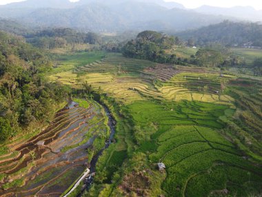  UNGARAN, İNDONEZYA 'DA YAZIZ VE LÜTÜN GÖREVLERİNİN GÖZEL GÖZLÜĞÜ