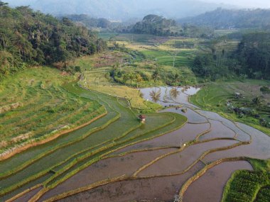  UNGARAN, İNDONEZYA 'DA YAZIZ VE LÜTÜN GÖREVLERİNİN GÖZEL GÖZLÜĞÜ