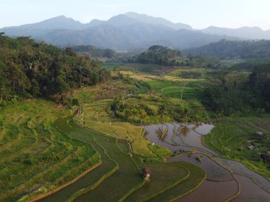  UNGARAN, İNDONEZYA 'DA YAZIZ VE LÜTÜN GÖREVLERİNİN GÖZEL GÖZLÜĞÜ