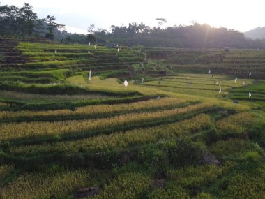  UNGARAN, İNDONEZYA 'DA YAZIZ VE LÜTÜN GÖREVLERİNİN GÖZEL GÖZLÜĞÜ