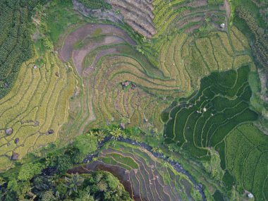  UNGARAN, İNDONEZYA 'DA YAZIZ VE LÜTÜN GÖREVLERİNİN GÖZEL GÖZLÜĞÜ