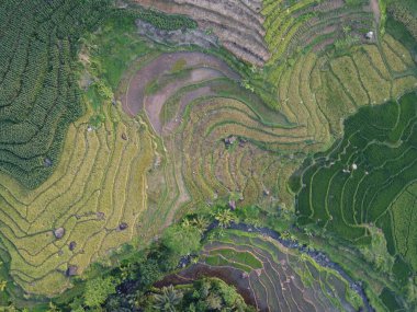  UNGARAN, İNDONEZYA 'DA YAZIZ VE LÜTÜN GÖREVLERİNİN GÖZEL GÖZLÜĞÜ
